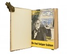 Max Mauser [Jonas Lie]:  En hai følger båten.  thumbnail