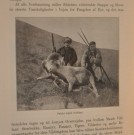 Carl Hagenbeck: Dyr og mennesker. thumbnail