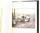 Paul Alexander: Boulevard of Broken Dreams.  thumbnail