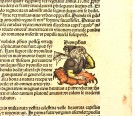 Hartmann Schedel: Nürnberg Chronicle [Folio LXXVIII] thumbnail