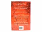 Vikram Seth:  An Equal Music. thumbnail