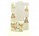 Hartmann Schedel: Nürnberg Chronicle [Folio CCI] thumbnail