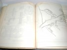 C. A. Ångstrom (red.) Ingeniörs-Föreningens förhandlingar för 1884 thumbnail