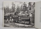 Dave Bohn and Rudolfo Petschek: The Locomotive Portraits. thumbnail