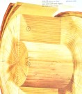 The international book of Trees.  thumbnail