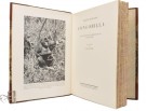 Martin Johnson: Congorilla.  thumbnail