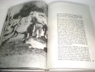 Fidel Castro: History will absolve me. thumbnail