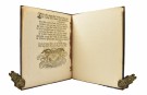 P. Horrebow:  Da brudgommen, Edle og Velformene Mand,  Sr. Søren... [1736] thumbnail