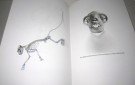 Colin Tudge og Josh Young: Ida.  thumbnail
