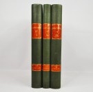 Topografisk-statistisk beskrivelse over Kristiania I-III. thumbnail