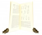 Hans Christiansson & Povl Simonsen:  Stone age finds from Spitsbergen.   thumbnail
