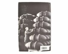 Richard Overy:  The Bombing War.   thumbnail