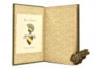 Daniel Defoe: Robinson Crusoe`s liv og hændelser thumbnail
