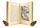 H. U. Sverdrup Thygeson:  Storfugl og storfugljakt.  Signert. thumbnail