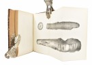 (NEW YORK)  Annual Report of the Regents of the... I-XV. thumbnail