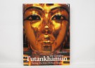 Nicholas Reeves: The complete Tutankhamun.  thumbnail