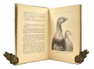 H. U. Sverdrup Thygeson:  Storfugl og storfugljakt.  Signert. thumbnail