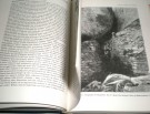 Bruce G. Trigger: Arkeologiens idèhistorie.  thumbnail