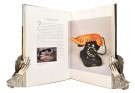 Kirsten Bradbury:  Essential Dalí.   thumbnail
