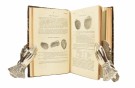 (NEW YORK)  Annual Report of the Regents of the... I-XV. thumbnail
