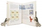 Rosemary Davidson: Kunsten å se kunst.   thumbnail