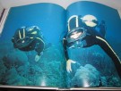Jacques Cousteau: The Ocean World. thumbnail