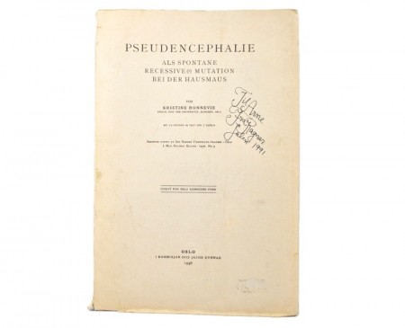 Kristine Bonnevie: Pseudencephalie. 
