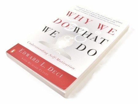 Edward L. Deci with Richard Flaste:  Why We Do What We Do.  