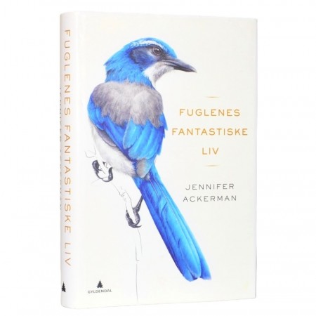 Jennifer Ackerman: Fuglens fantastiske liv.
