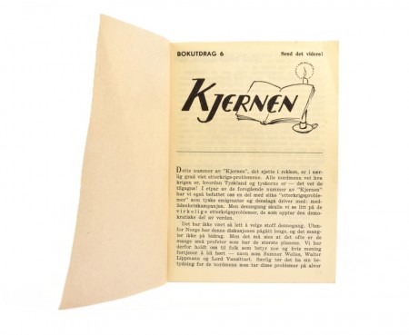 Kjernen.  Bokutdrag 6.  
