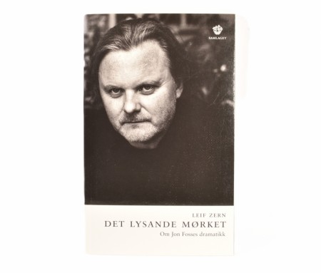 Leif Zern:  Det lysande mørket.  