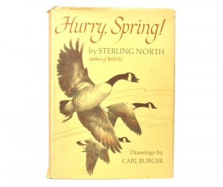 Sterling North: Hurry, Spring. Signert